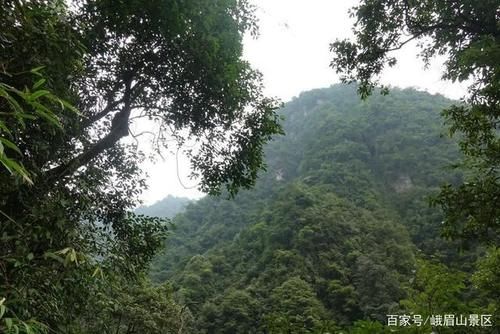 仙峰寺，可不止拜财神，更让人赞叹的还有这些