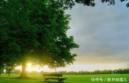 孔子的仁是什么意思