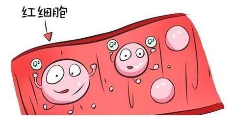 乳酸亚铁|14岁男生身高“停滞”,科:2种“早餐”吃一口等于2升可乐,限制生长