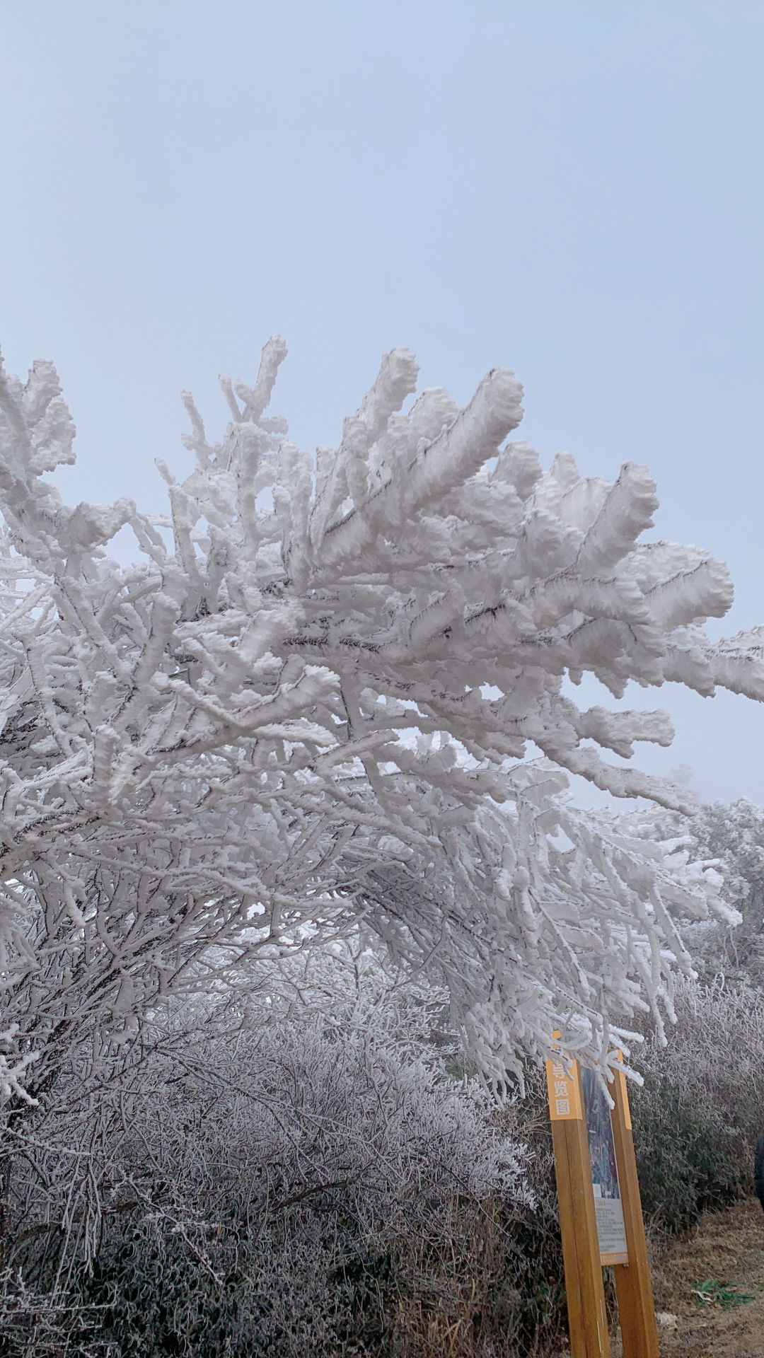 畲乡|冬日限定！畲乡敕木山雪景带你进入冰晶世界