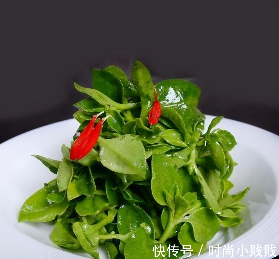 六种花是有名的“生活小帮手”,建议养一盆,以备不时之需