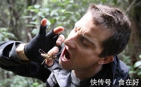 食物链|“食物链顶端”的贝爷，为何消失了？