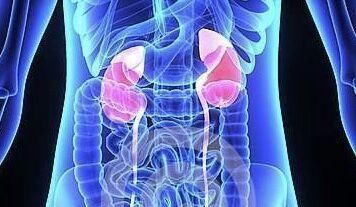 男性晨起时,坚持做好3个“动作”,过段时间,你的肾会感激你