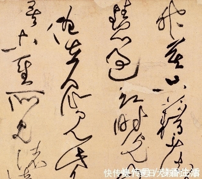 沈周@他独创“荡桨笔法”,字法奇宕,龙搏虎跃,又一个“草圣”级人物