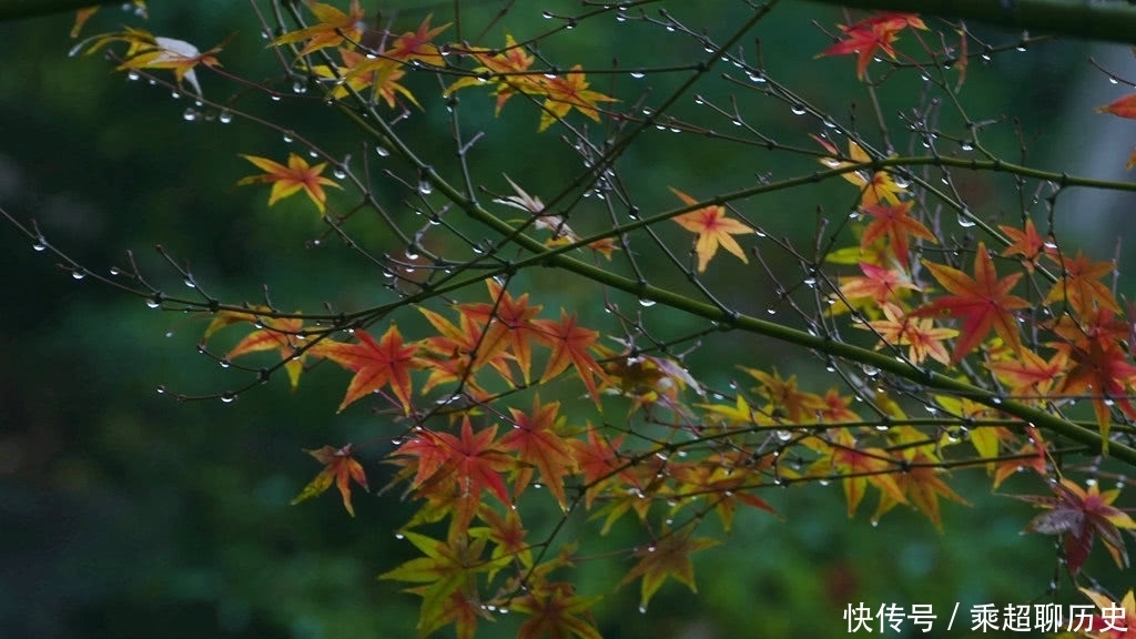  描写|几首描写秋雨的唐诗