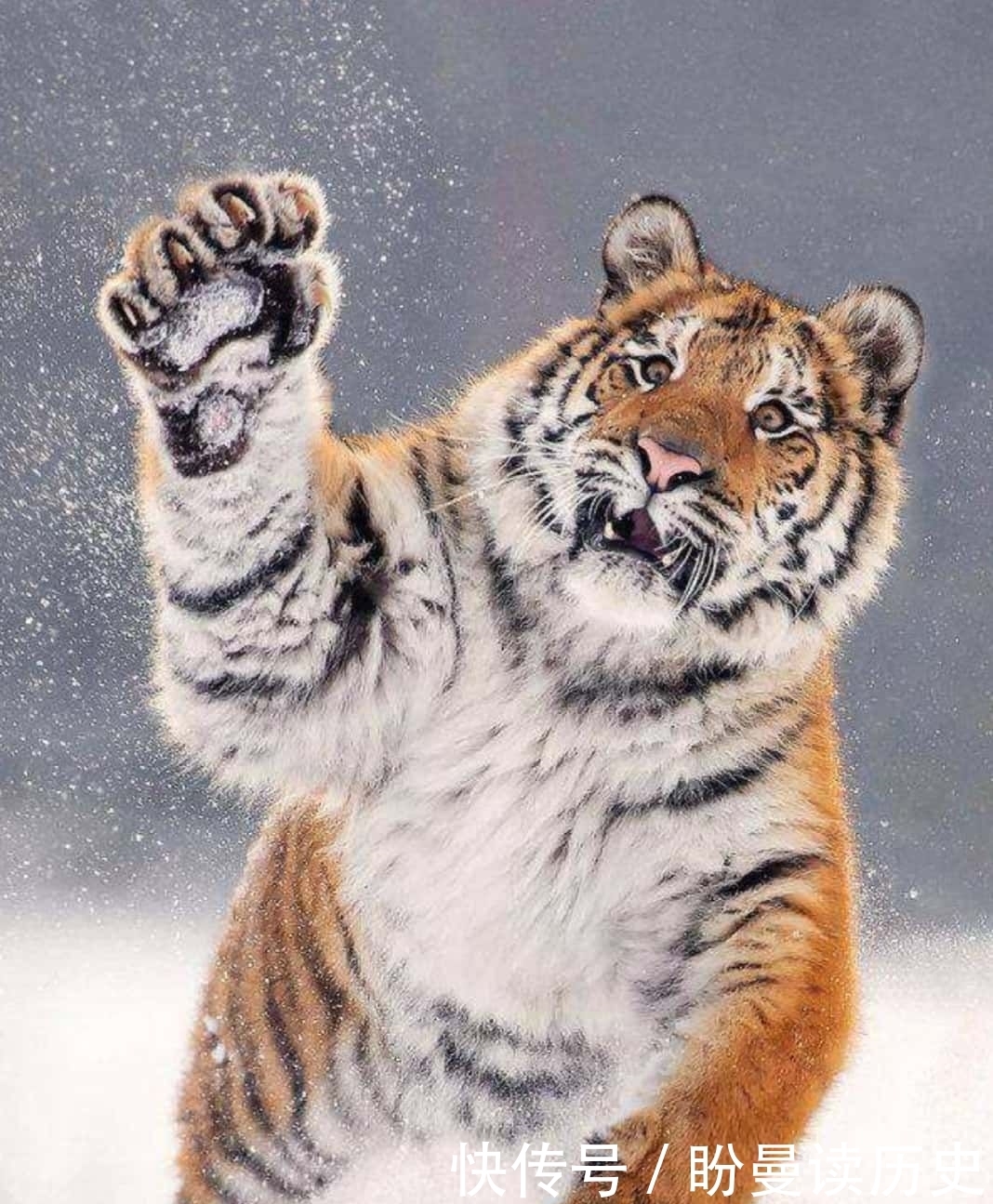 将心|翠竹楼主原创诗第480首首:七律—将心