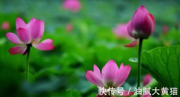 商人|佛说:财不可积,愈多愈散,绝对不能积,久积成病、久积成恶