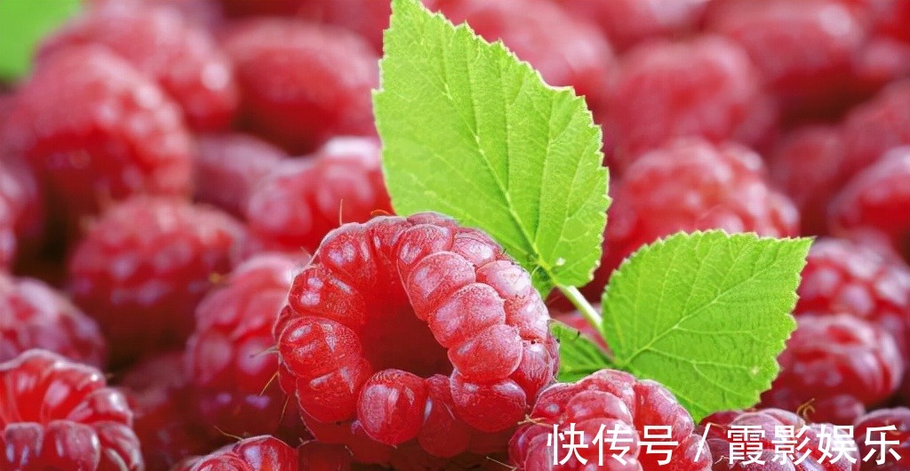 康普|女性冬天爱美,三种食物坚持吃,能延缓衰老,美容养颜,身体更好