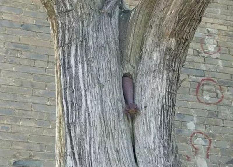 跪下|中国一座破旧老庙，日军连放13发炮弹全没炸，进去后日军全跪下