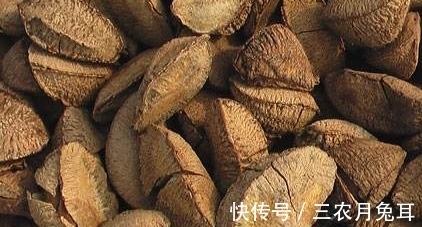 采摘|农村一种野果,每年只能采摘两次,一斤市场上能卖到50块