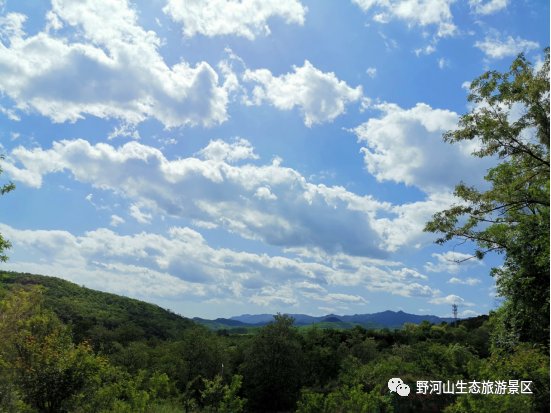 野河山|纵享夏日惬意野河山