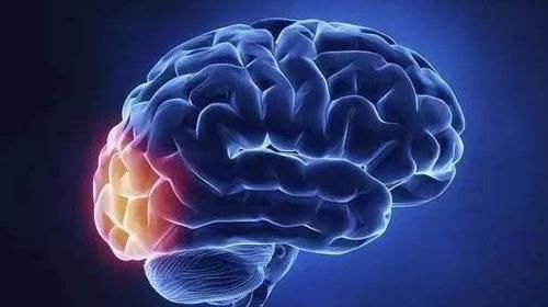 脑供血不足|脑供血不足的人，4个好习惯一定要坚持，软化血管脑梗或会绕道走