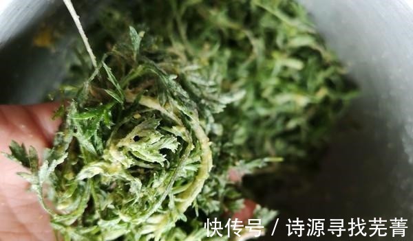 产量|日本人每天必吃的“长寿菜”,我国产量大但没人吃,含钙比牛奶高!