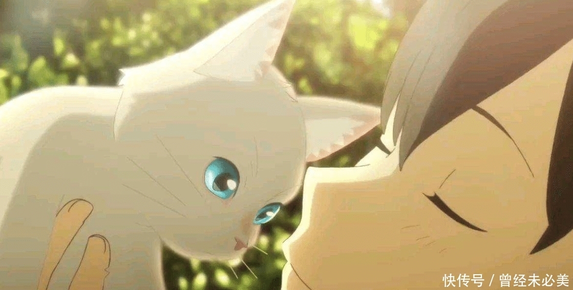 想哭|想哭的我带上了猫的面具:少年的烦恼,青桔酸中带甜的味道