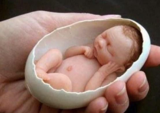 外面的世界|曾经的最小婴儿用蛋壳当摇篮,现在13年过去了,她怎么样了