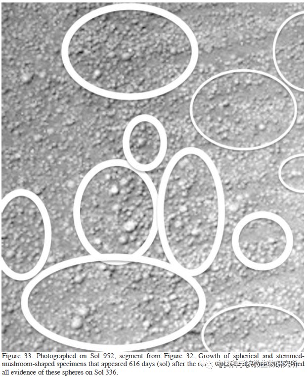 非生物 火星上存在真菌吗？