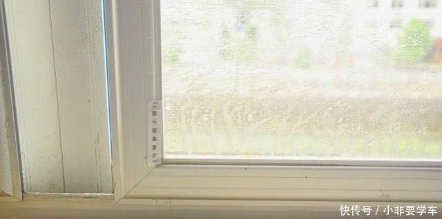 纱窗脏了别拆洗，清洗纱窗方法，喷一喷污垢自己掉下来，超实用！