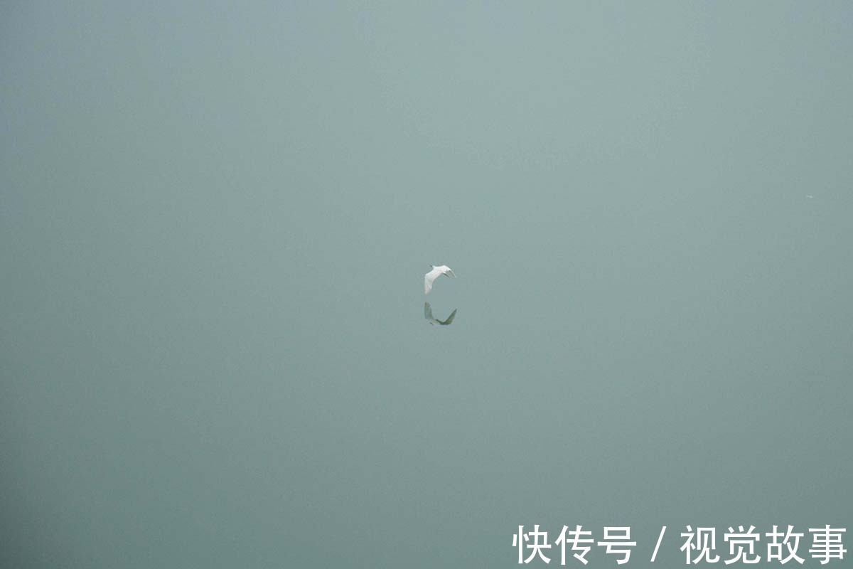 山村村民天天钓鱼，经常空手而归，看靠啥增加收入