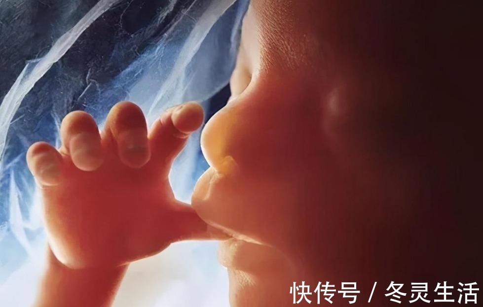 肚子|胎宝在妈妈肚子里都会做啥胎儿“每日工作安排”,笑哭多少孕妈