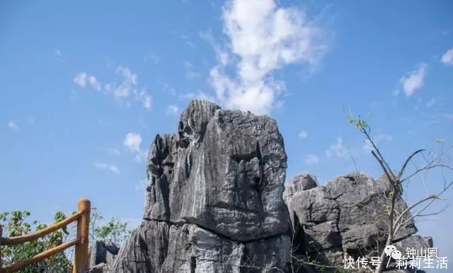 绿植沃若绕山塘，古祠老宅缀农庄，钟山这个国家森林乡村太美了