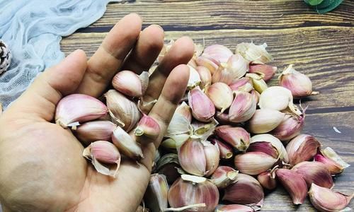 玻璃罐|保存大蒜时间久了就会干瘪或者发芽，该怎么保存才不会出现这种情况呢？