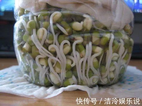 多肉|矿泉水瓶有“大作用”，10个“用法”最经典，可以种豆芽、养花
