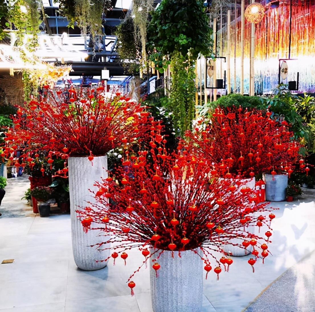 5种“网红”年宵花,个个都“吉祥”,寓意好颜值高,快去摆一盆