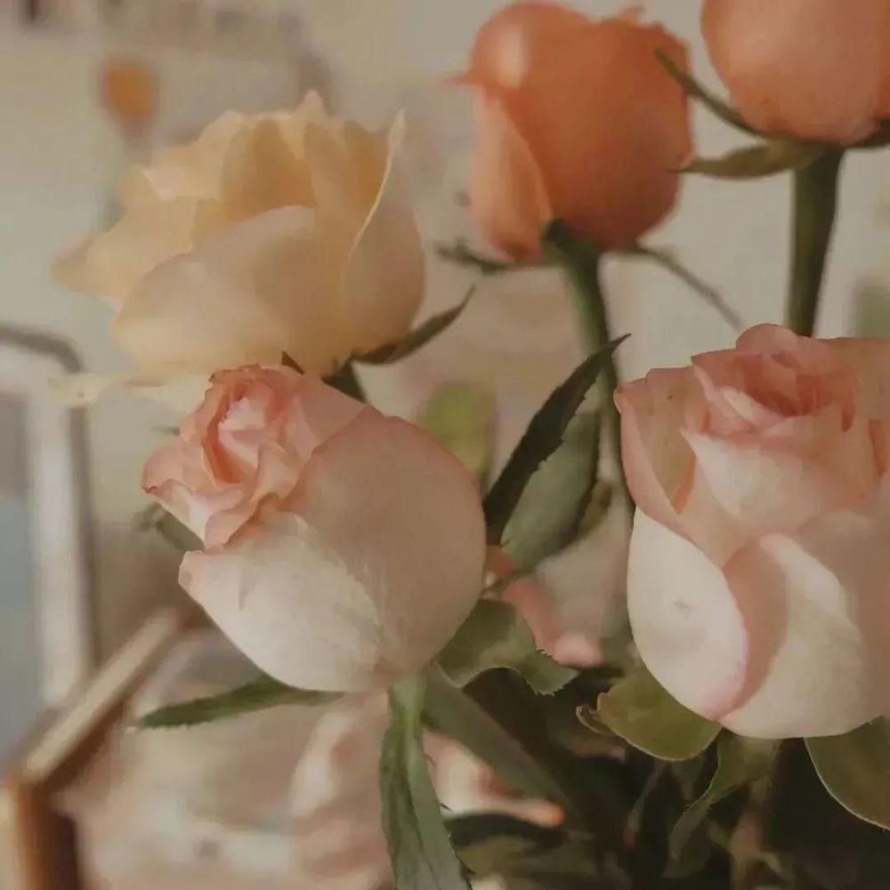 用一句诗词总结你的2020，你会想到哪句？