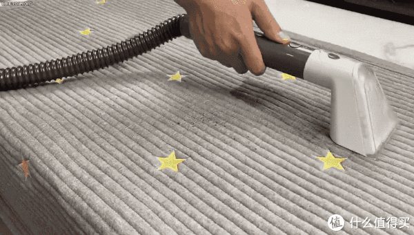 布艺|家有毛孩子，如何彻底清扫卫生？东菱布艺清洁机带来全新解决方案