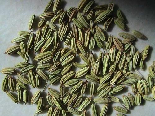 茴香醛|失眠让人崩溃,每晚睡前放一物在枕边闻一闻,让你一觉到天亮