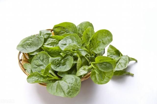 潺菜|农村这种野菜，味道鲜美含钙量特高，在城里有时候有钱都很难买到