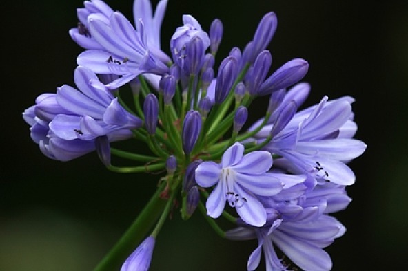 家庭|父母的嘴,决定了一个家庭的命运,说话的4个禁忌!