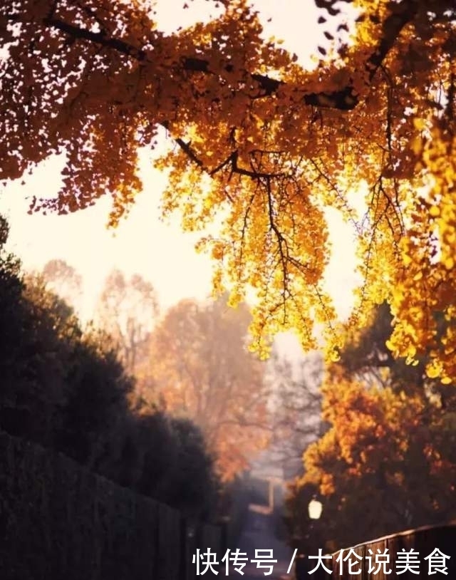 【诗词鉴赏】冬天来了,乡愁更浓了,10首思乡的诗词,让人怎能不思乡!