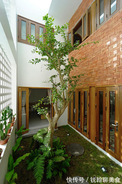 主卧|她住128㎡的联排别墅,家里3处天井,满眼绿色,像个植物园