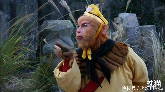 年少只知悟空“勇”,中年方懂沙僧“怂”