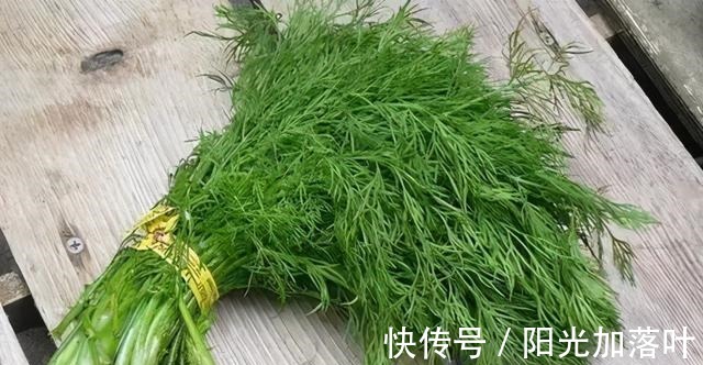 味辛性温|入伏后，不管有钱没钱，这5种“扶阳食”别忘了吃，老传统不能丢！