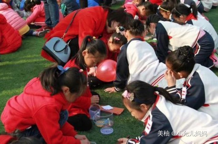 全家|“老师说要带1万颗豆”，全家熬夜数豆子，质问老师却被“打脸”