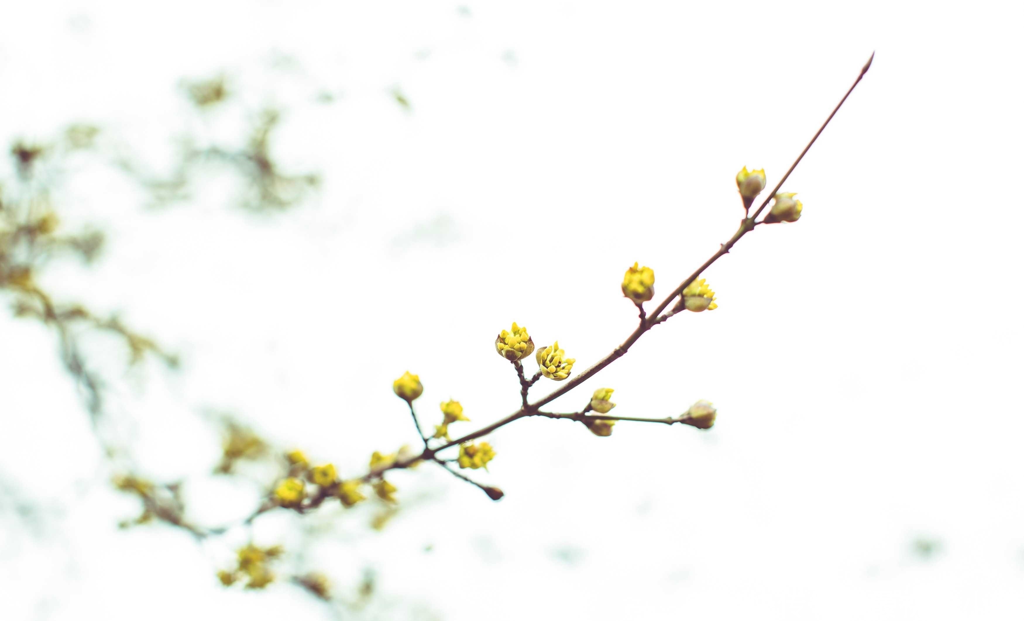 一个家庭为什么矛盾不断?3点是罪魁祸首,可惜很多人不明白