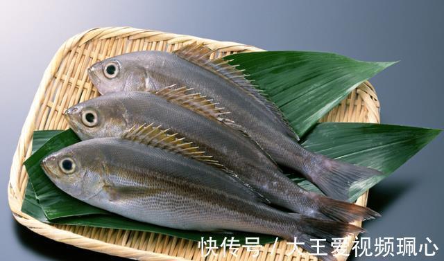 绿豆芽|4种食物是血管“清洁工”,高血脂患者或可多吃,不妨一试