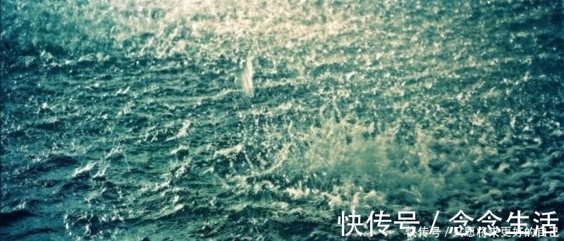 微雨夜行@白居易在夜里赶路,突然下起了雨,信手拈来成就一首咏雨名篇!