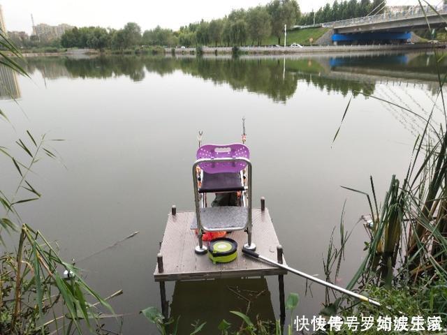 钓大板鲫|昨天第31天夜钓,偶遇一位奇葩钓友,结果12点前几乎没口