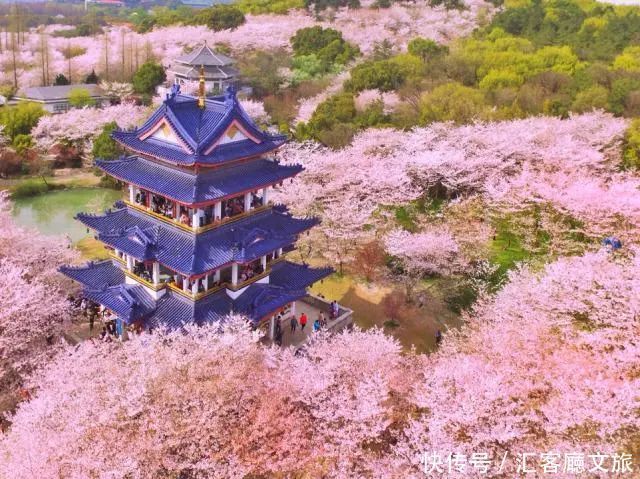 淋一场烟雨，遇一场花事，9个三月花海刷屏的地方