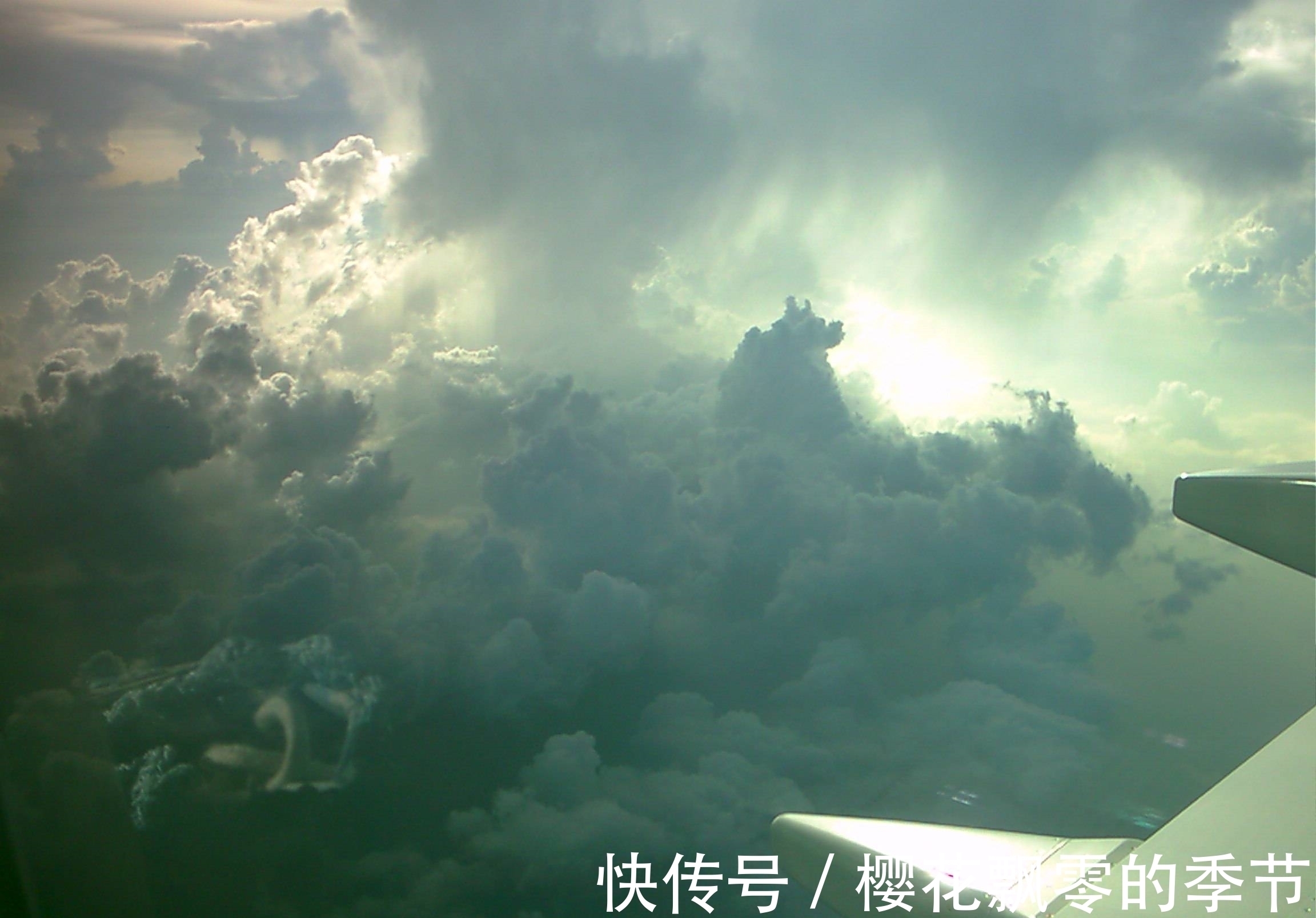 孔甲&揭开龙的神秘面纱!古代曾有养龙人,仅作为坐骑,满身腥臭味