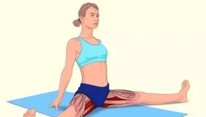 强身健体|全身拉筋3D图解,一步到位,在家也能强身健体