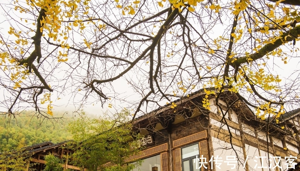 王维|九首情谊古诗词:青山空向一帆远,汀州落日五湖春