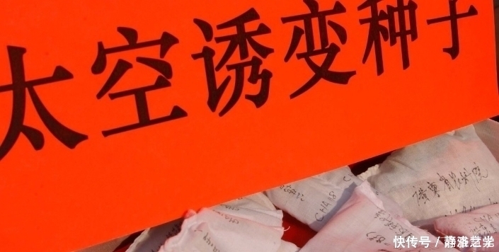 航天技术 把种子放在太空一段时间,返回地球后种出来,会比较大吗?