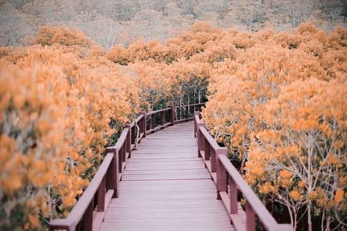 日本|山东耗资3亿的景区，由日本专家亲自打造，景观不输九寨沟