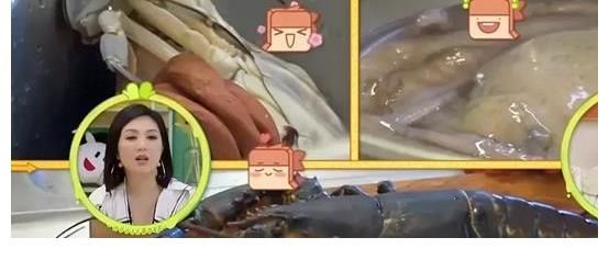 自熱米飯|宋妍霏用自熱食品招待楊迪引爭議，網(wǎng)友扒出關(guān)鍵信息打臉節(jié)目組