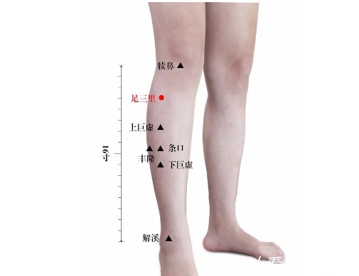 老中医|老中医告诫:6个症状是脾虚信号!艾灸5穴最养脾,脾不虚,病不找