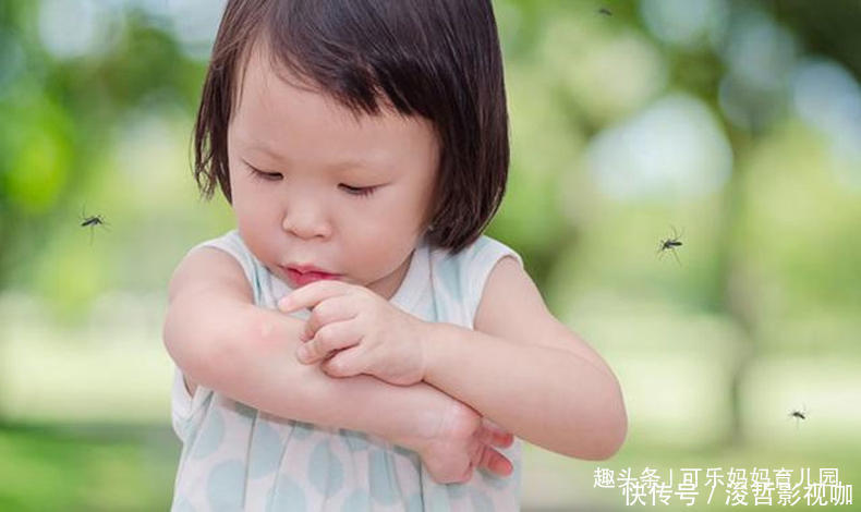 蚊虫|防蚊虫大作战，宝妈积极做好3步，宝宝肌肤免受伤害
